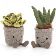 Jellycat Amuseable Aloe 20 cm Online Hot Sale