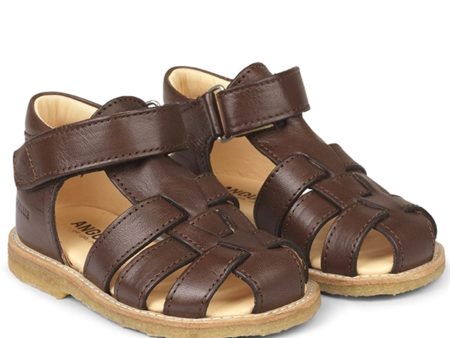 Angulus Begyndersandal m. Velcro Mørkebrun Sale