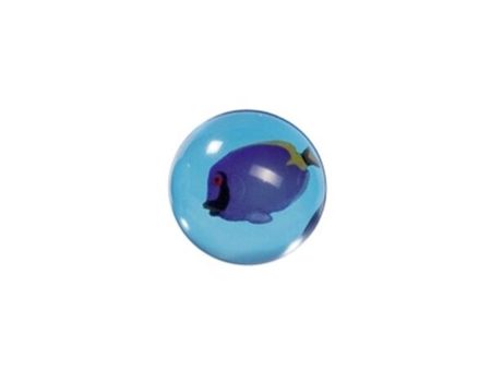 Goki Bouncing Ball 3D Paracanthurus Hepatus Cheap