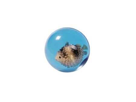 Goki Bouncing Ball 3D Blowfish Online