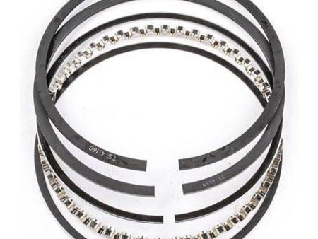 Mahle Rings Performance Steel Napier THM-13 4.025 x .043in .135RW Plain Ring Set (48 Qty Bulk Pack) Fashion